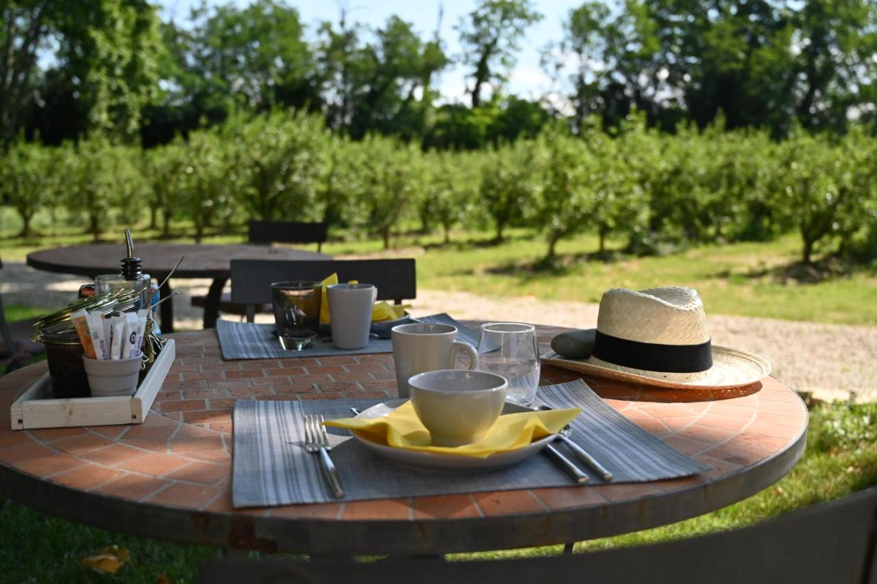 Bed and Breakfast Mas De Capelou Avignon Exteriér fotografie